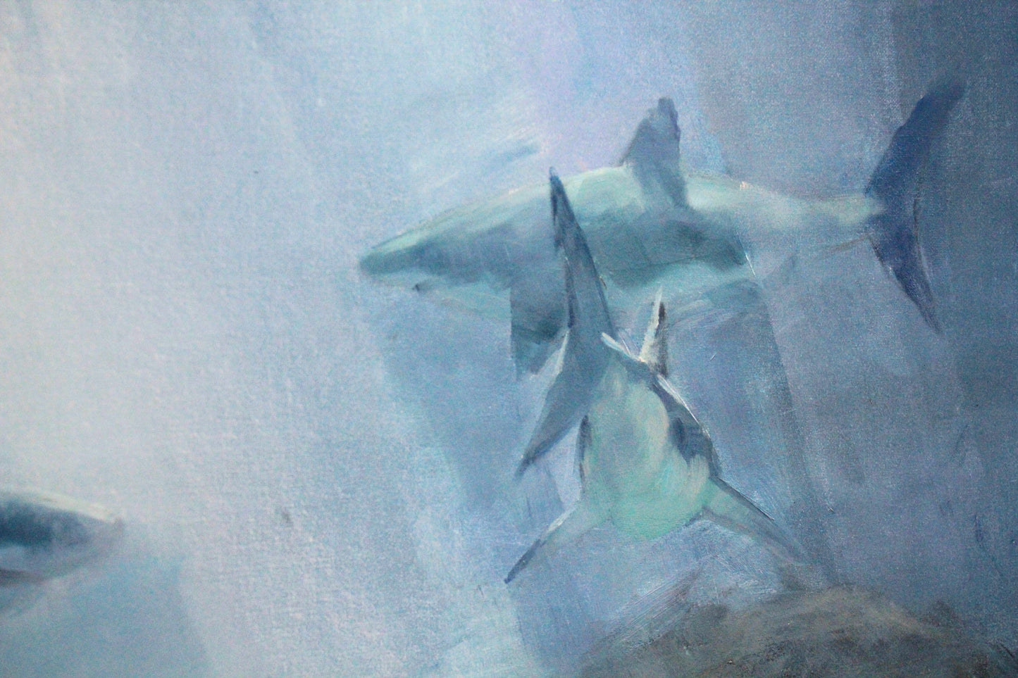 Great white shark original oil painting