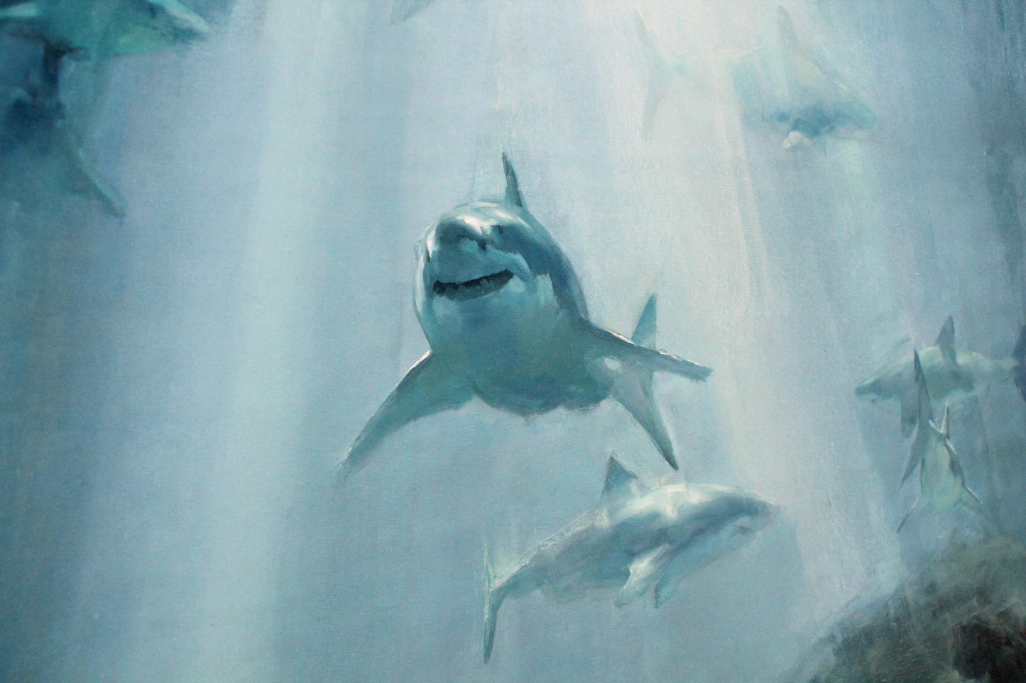 Great white shark original oil painting